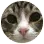 keeysnara